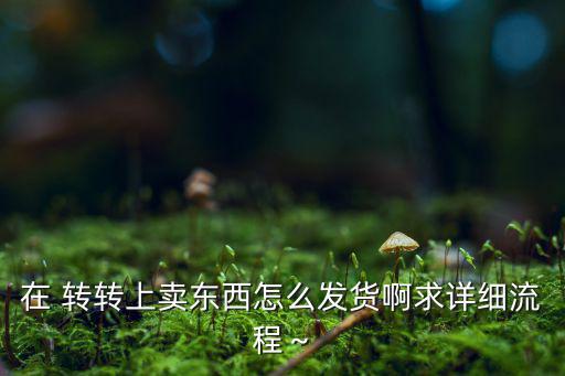 轉(zhuǎn)轉(zhuǎn)怎么賣體育用品,轉(zhuǎn)轉(zhuǎn)保底特賣怎么做?