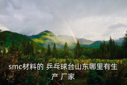 smc材料的 乒乓球臺(tái)山東哪里有生產(chǎn) 廠家
