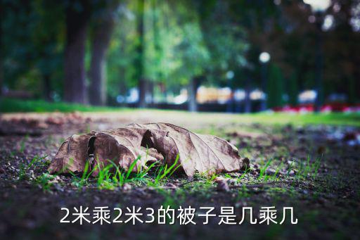 2米乘2米3的被子是幾乘幾