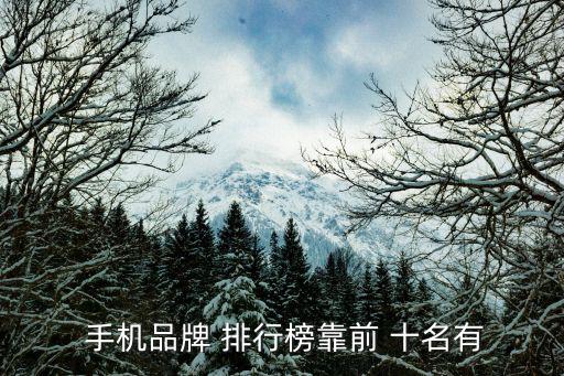  手機品牌 排行榜靠前 十名有