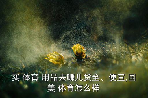買 體育 用品去哪兒貨全、便宜,國美 體育怎么樣