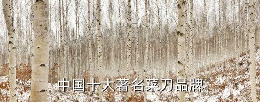 中國品牌廚具有哪些,2016年中國櫥柜行業(yè)創(chuàng)新發(fā)展十大品牌