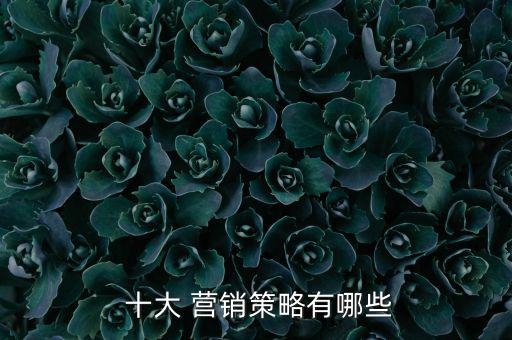 十大成功營銷策劃案例,整合營銷就是為客戶提供滿意商品和服務(wù)