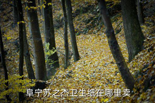  阜寧蘇之杰衛(wèi)生紙在哪里賣