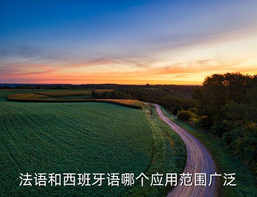 范圍及其廣泛,銀聯(lián)沒成立之前發(fā)卡機(jī)構(gòu)幾乎都支持v和m