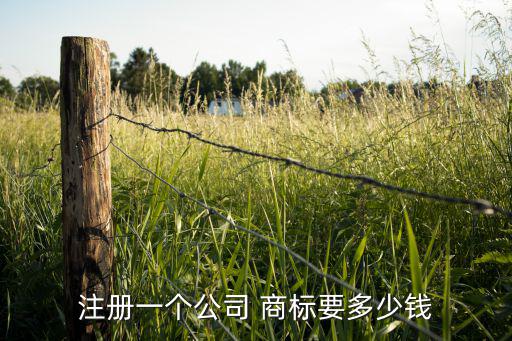 開店需要注冊商標(biāo)嗎多少錢,在中國注冊一個商標(biāo)需要多少錢?