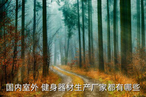 國(guó)內(nèi)室外 健身器材生產(chǎn)廠家都有哪些