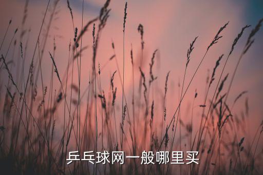 體育用品乒乓球桌價(jià)格,所以體育用品商店會(huì)出售乒乓球相關(guān)器材