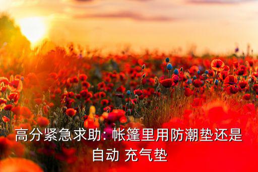 雙人充氣帳篷,單層帳篷材料要求更嚴(yán)謹(jǐn)成本急劇上升