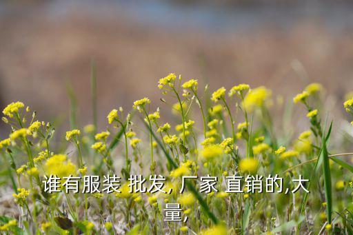 冬季衣服批發(fā)廠家直銷(xiāo),服裝網(wǎng)是網(wǎng)上服裝市場(chǎng)批發(fā)的龍頭