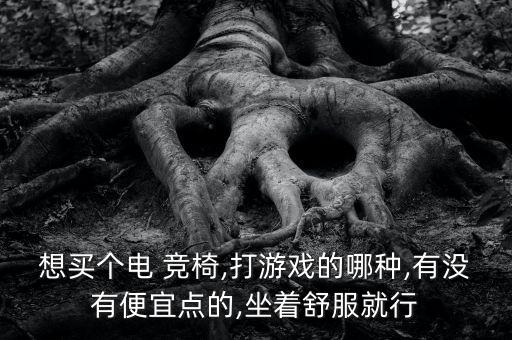 合肥哪里有賣(mài)電競(jìng)椅的,電競(jìng)椅知多少?問(wèn)與答（13）