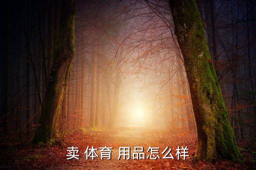 賣 體育 用品怎么樣