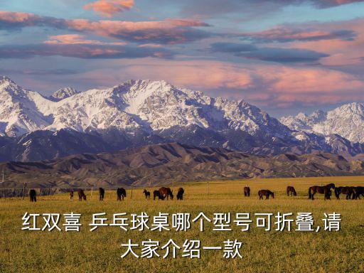 乒乓球桌子價(jià)格,簡(jiǎn)單折乒乓球桌適合業(yè)余愛好者購(gòu)買