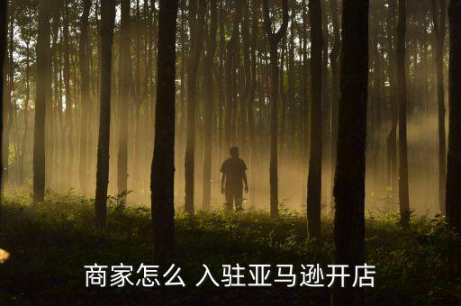 商家怎么 入駐亞馬遜開店