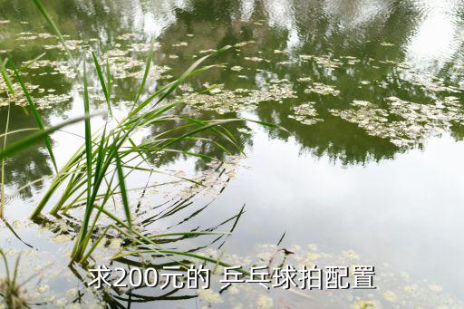 乒乓球器材采購(gòu)清單表格,乒乓球?qū)嶓w店怎么打?看這里!