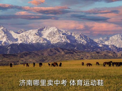  濟南哪里賣中考 體育運動鞋