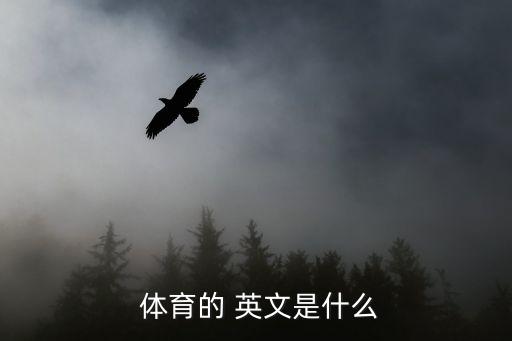 體育器材翻譯成英文,猜體育謎語!可參考這幾個創(chuàng)作謎語