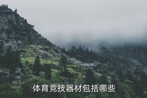 體育用品的競(jìng)爭(zhēng)優(yōu)勢(shì)有哪些,體育用品商業(yè)化讓人關(guān)注體育行業(yè)