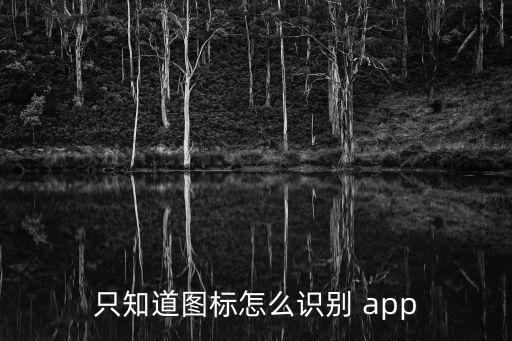 看圖識品牌app,手機應用如何下載和使用?