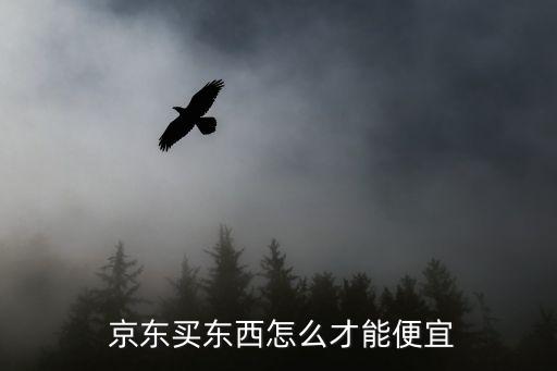  京東買(mǎi)東西怎么才能便宜