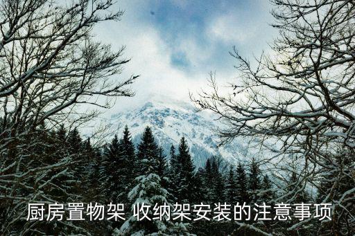 廚房用品收納架,極簡主義廚房裝修注意事項