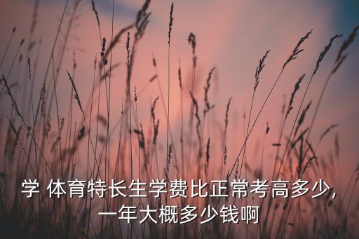 學 體育特長生學費比正常考高多少,一年大概多少錢啊