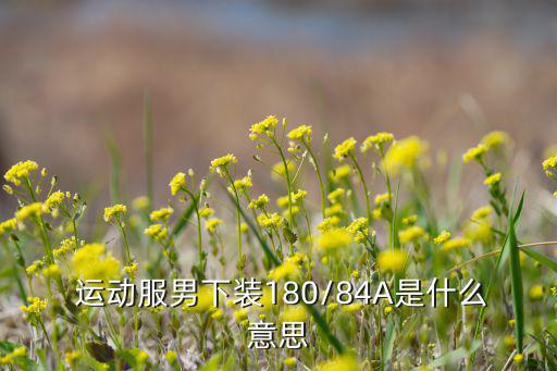  運(yùn)動(dòng)服男下裝180/84A是什么意思
