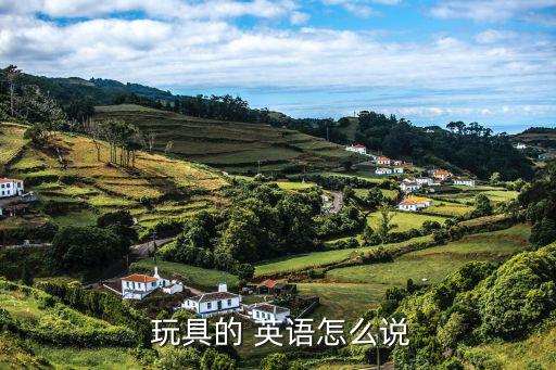 收集玩具的英語(yǔ)怎么說(shuō),這些玩具是否有你喜歡的玩具?