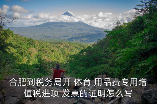 體育用品發(fā)票怎么開,申請(qǐng)開具增值稅專用票證需要資料