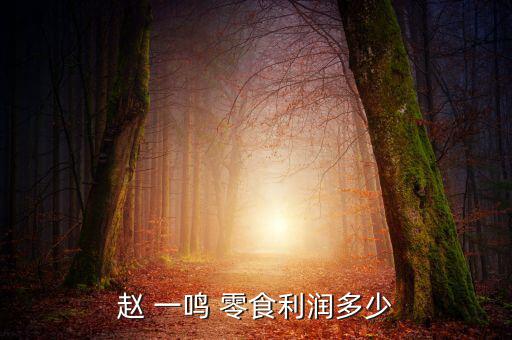 趙 一鳴 零食利潤多少