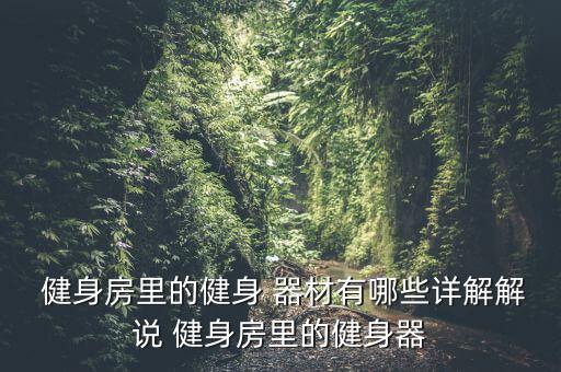  健身房里的健身 器材有哪些詳解解說(shuō) 健身房里的健身器