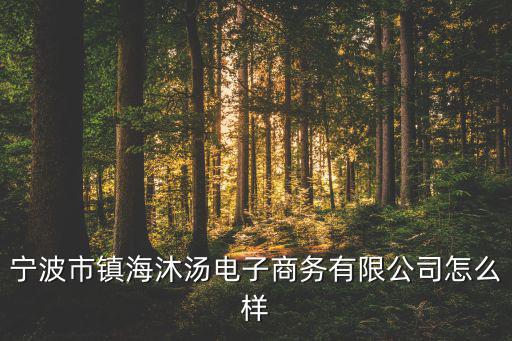 寧波市鎮(zhèn)海沐湯電子商務(wù)有限公司怎么樣