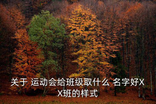 關于 運動會給班級取什么 名字好XX班的樣式