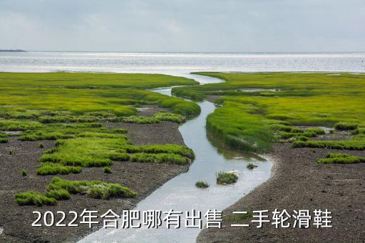運動器材二手市場,合肥兒童運動器材店有何來頭?