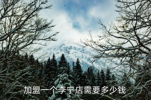 加盟一個李寧店需要多少錢