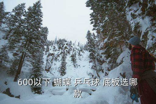 蝴蝶乒乓球底板排名,武漢機(jī)場(chǎng)搶購(gòu)熱銷(xiāo)貨品排行榜出爐