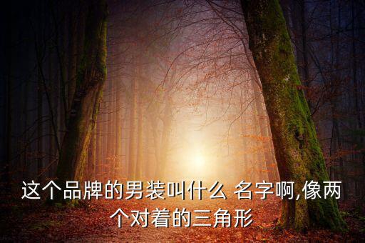 三個(gè)字的體育用品名字叫什么,數(shù)據(jù)延展:匹克品牌走國際化道路