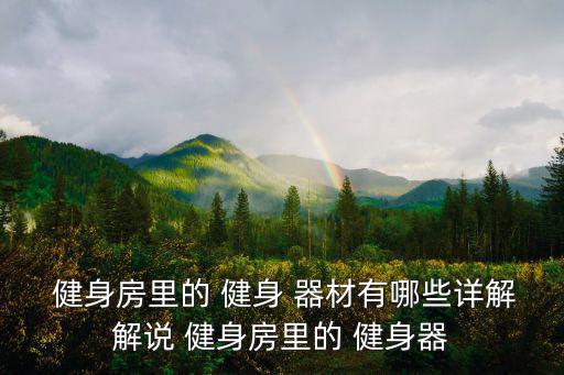 健身房里的 健身 器材有哪些詳解解說 健身房里的 健身器