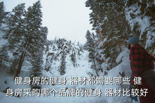  健身房的健身 器材都需要哪些 健身房采購哪個品牌的健身 器材比較好