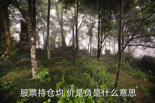  股票持倉均 價(jià)是負(fù)是什么意思