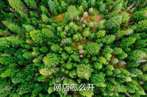 閑置體育用品專賣網店怎么開,如何開店?這些東西!