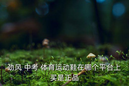 勁風 中考 體育運動鞋在哪個平臺上買是正品