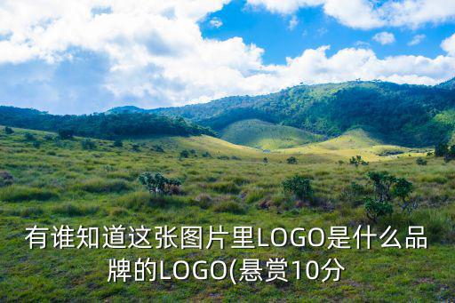 有誰知道這張圖片里L(fēng)OGO是什么品牌的LOGO(懸賞10分