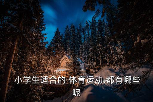  小學(xué)生適合的 體育運(yùn)動(dòng),都有哪些呢