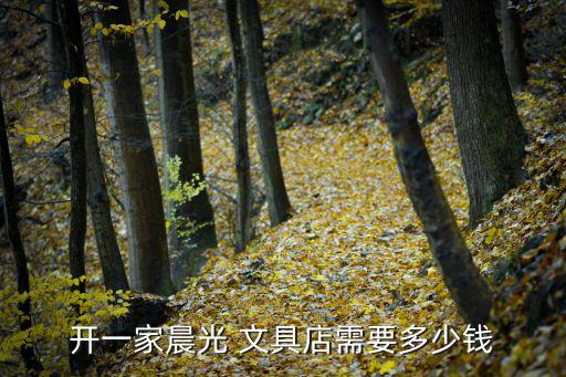 開一家晨光 文具店需要多少錢