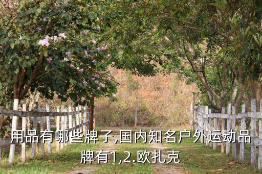 驢友用品有哪些牌子,國內(nèi)知名戶外運動品牌有1,2.歐扎克