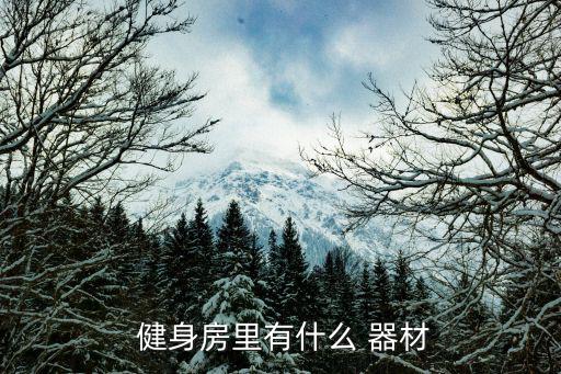 健身房 器材,健身房需要什么器材?
