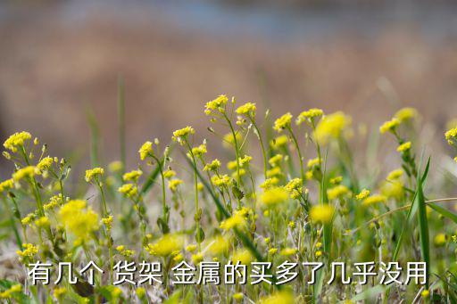 有幾個 貨架 金屬的買多了幾乎沒用