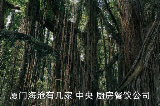 廈門海滄有幾家 中央 廚房餐飲公司