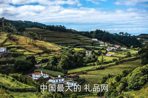 中國最大的 禮品網(wǎng)